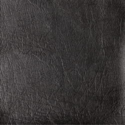 169705_image3.png