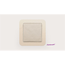 107790_image3.png