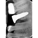 190507_image3.png