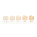 191621_image3.png