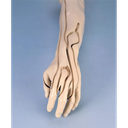153155_image3.png