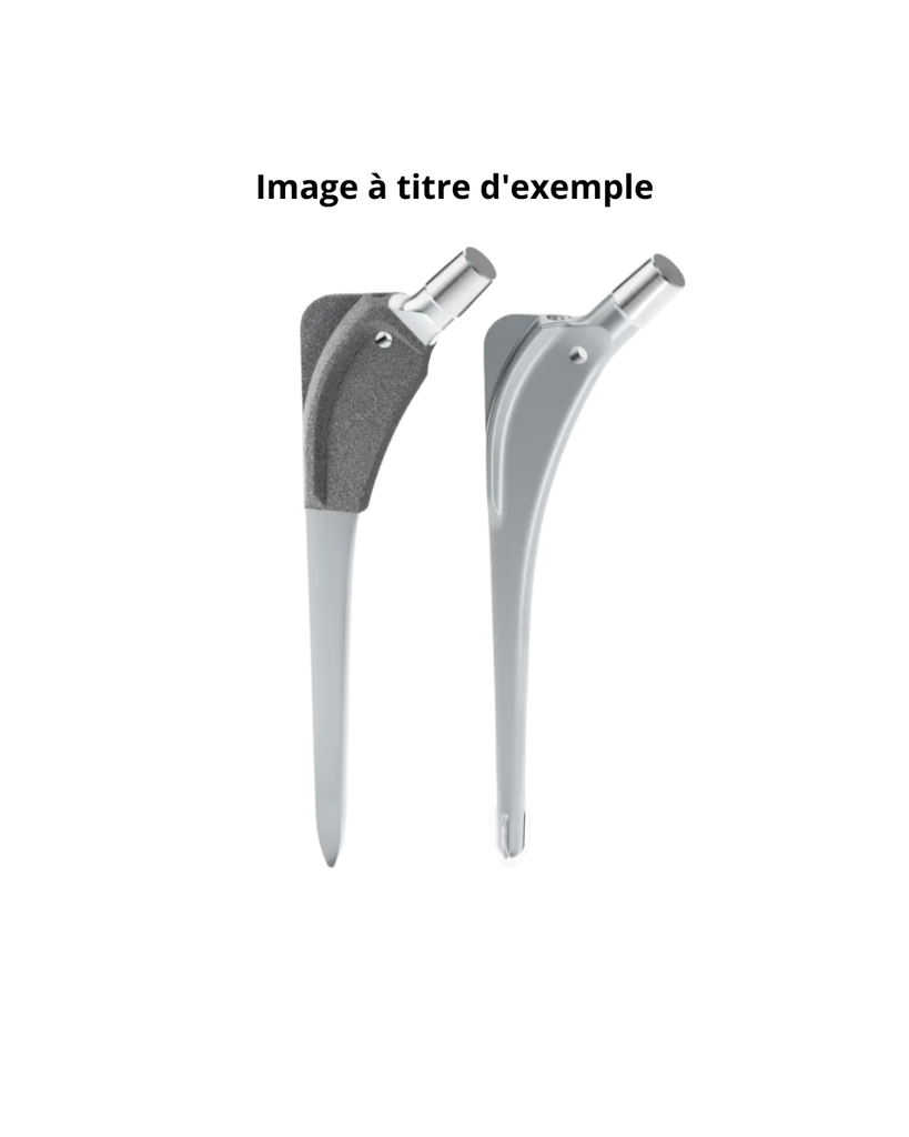 BICONTACT S CoCr cimenté 12/14 taille 14 mm