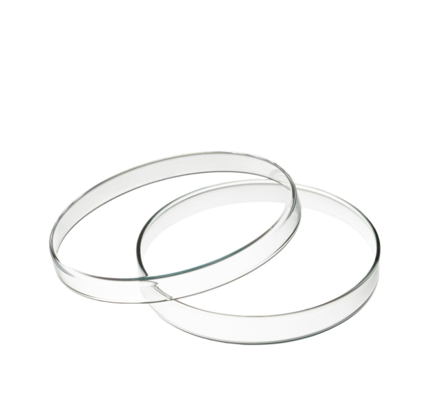Boîte de Petri double en verre, diamètre 10 cm