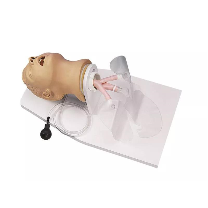 Entraîneur d'intubation adulte