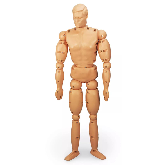 Mannequin d'entraînement Randy 9000