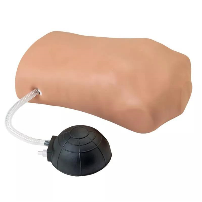 [R10037] Simulateur de pneumothorax