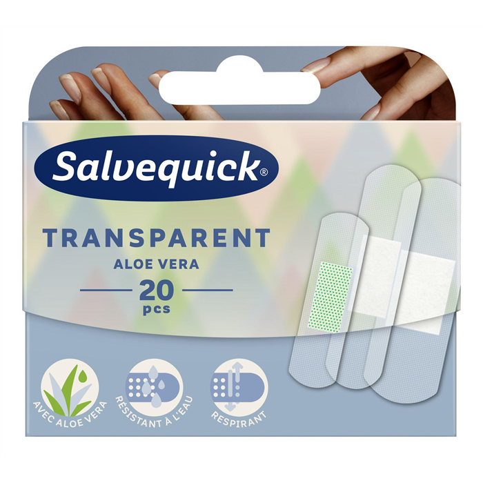 [626557 FIRS] Transparent Aloe Vera, 20 pièces