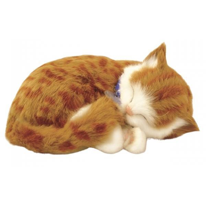 [19744811-orange] Perfect Petzzz - Chaton orange