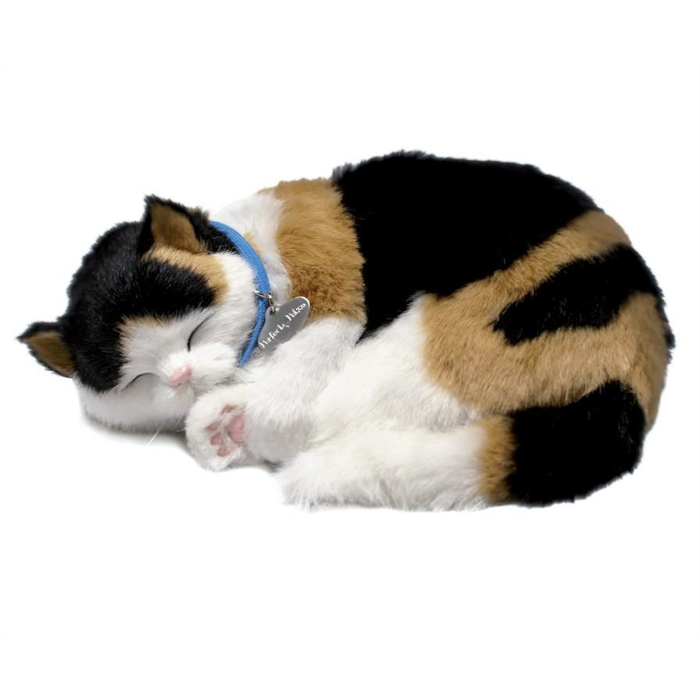 Perfect Petzzz - Chat Calico