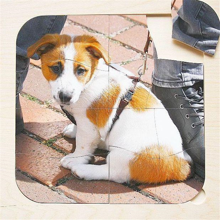 [AD169590] Puzzle en bois à encastrer - chiot - 16 pièces