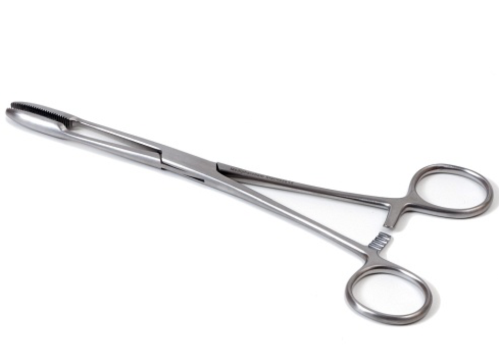 Pince Korn avec verrou selon Maier, 18 cm, droite