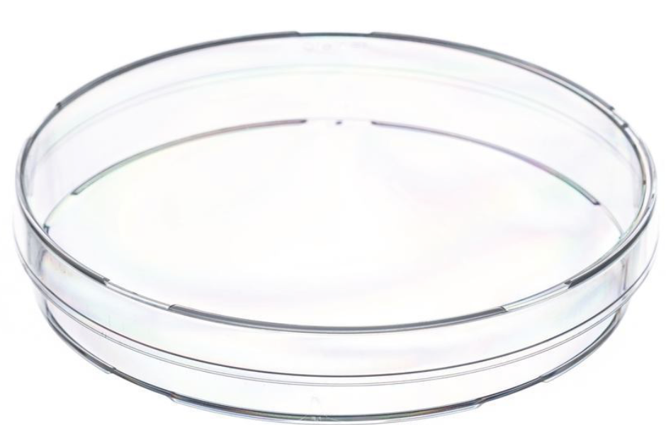 Boîtes de Petri, diamètre 94 mm, hauteur 16 mm, 20 pièces, sans ergots de ventilation