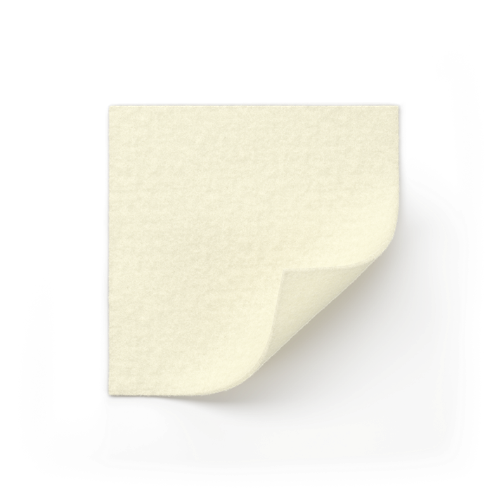 SCAX Exufiber 10 x10 cm, boite à 10 PCS