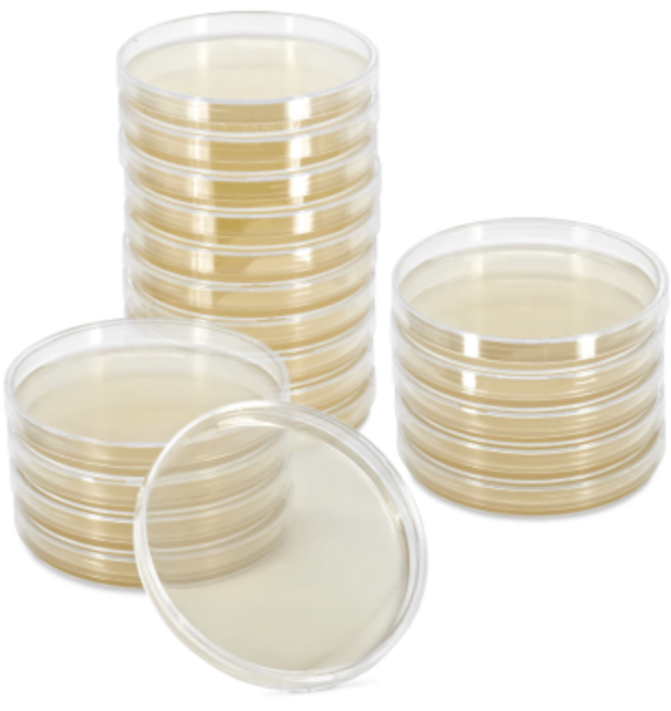 Boîtes de culture Nutriplate gélose dermatophytes sélective Taplin, 20 pièces