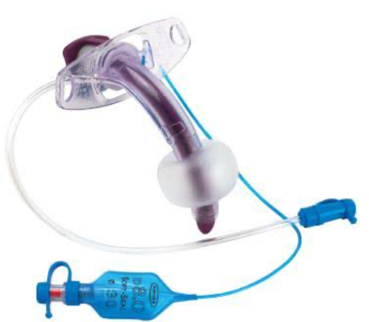 BLUE LINE ULTRA canule interne, 100851, taille 6, fenêtrée, pack de 2 pièces
